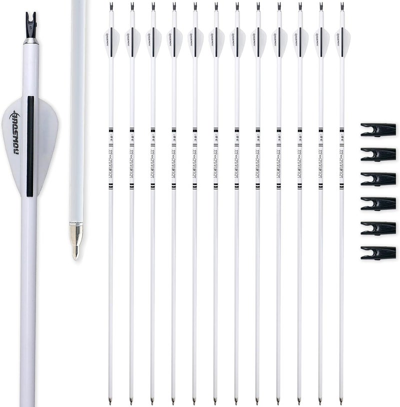 BOWSOUL Carbon Arrow Archery 30inch Bright Colors Hunting Target Practice Arrows for Compound & Recurve Bow Spine 500 with Removable Tips (Pack of 12) - Image 1